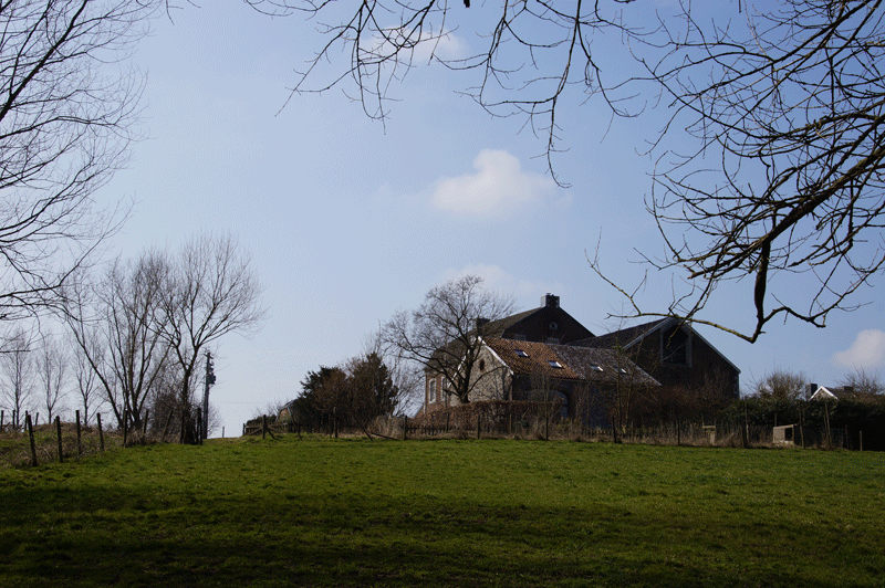 DSC04826.gif