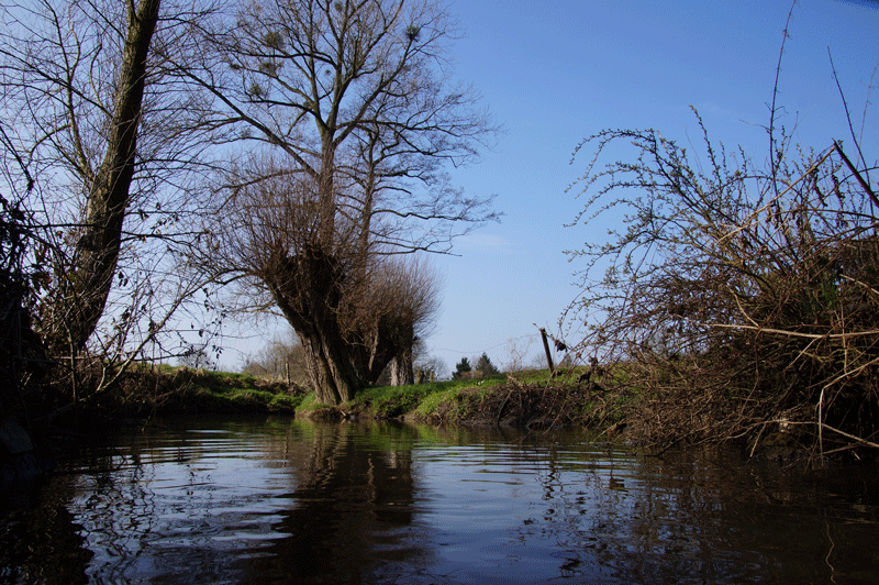DSC04769.gif