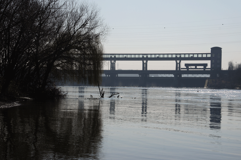 DSC04726.gif