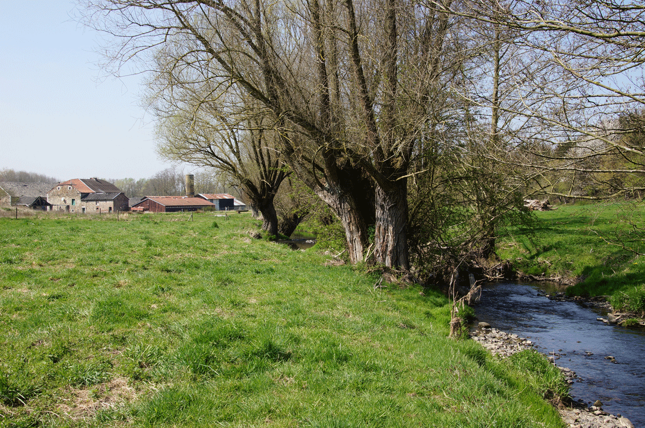 DSC05144.gif