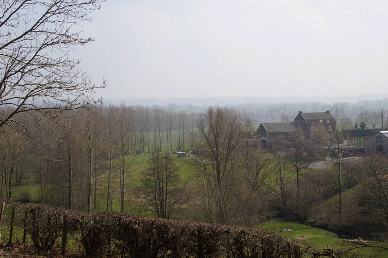 DSC04887.gif