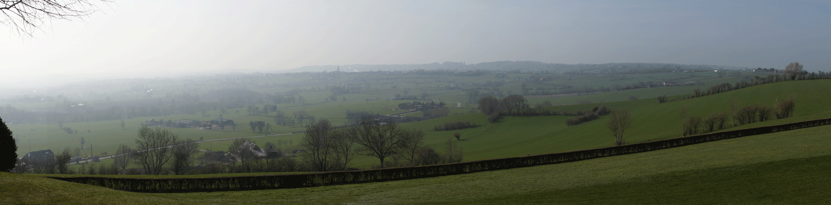 DSC05007.gif