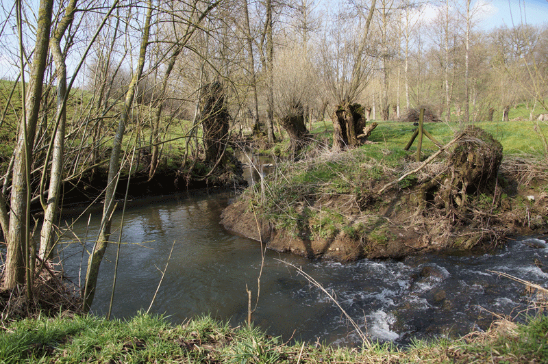 DSC04825.gif