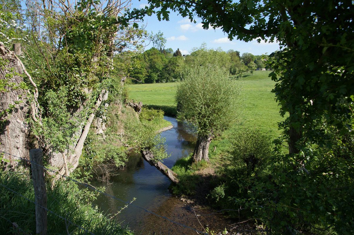 DSC05464.gif