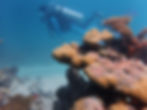 Deep Dea Diving