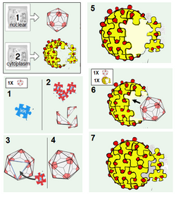 Final Inspiration Graphic Abstract