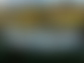 The Surprise Grebe Prize: A Nesting Haven