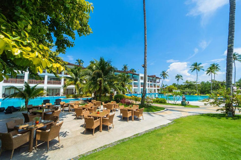 Coconut Tree Beach Vibes