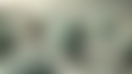 Visiting Us During The COVID-19 Pandemic: What You Can Expect