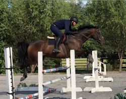 jump kristi ottb_edited