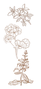 _Oil icons_edited_edited_11zon.webp