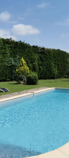 Relax on the 10 sun loungers or share an aperitif on the terrace, between shade and sun, surrounded by Mediterranean scents.