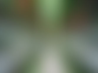 Horticultural Lighting