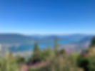 IMG_8776.jpeg