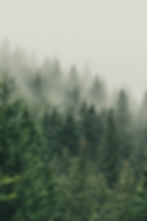 AdobeStock_466049771.jpeg