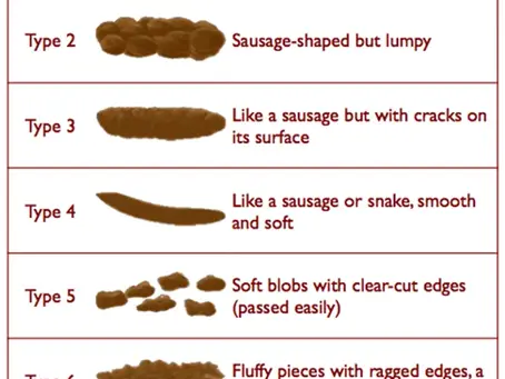 What Your Stool Type Says About Your Health