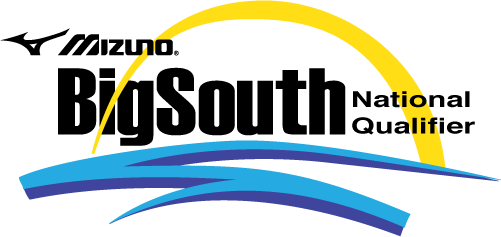 logo mizuno volleyball