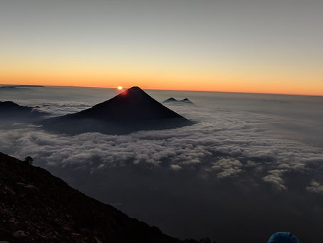 March 2019 Winner: The Woznowski Elephant by Tricia Lowther