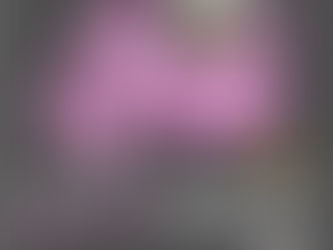 Greek Step Show - a Lexington, Ky community event