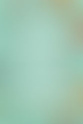 The Summer I Turned Pretty