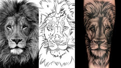 lion - left forearm - comparison