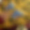 縮圖：Silk Tiger Rug Yellow 088