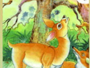 Vasudhaiva Kutumbhakam, Not a Deer but a SEER BE
