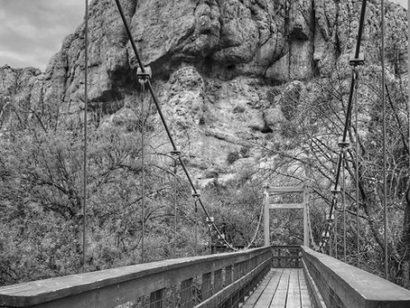 Arizona Photography Locations | Boyce Thompson Arboretum