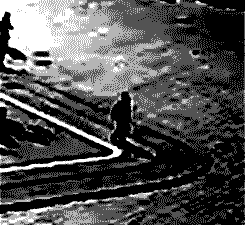 CCTV5.gif