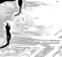 CCTV12.gif
