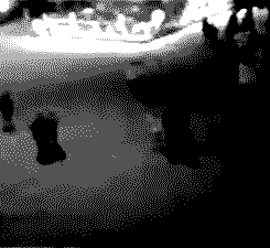 CCTV2.gif