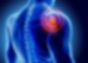 Shoulder