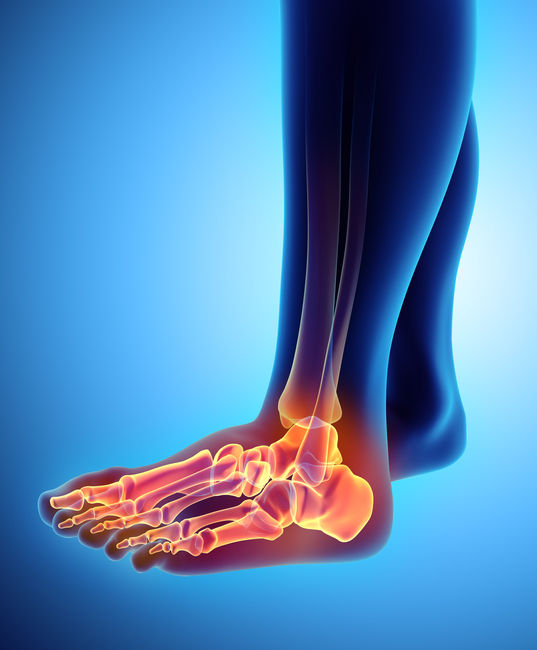 Ankle&Foot