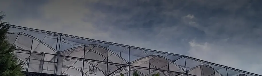 Engenharia do Futuro