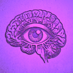 brain eye.gif