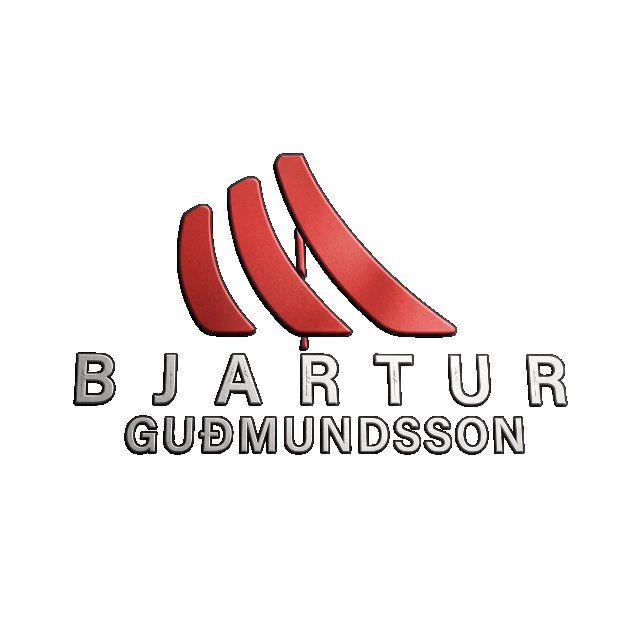 enn fleyri logo sko.gif
