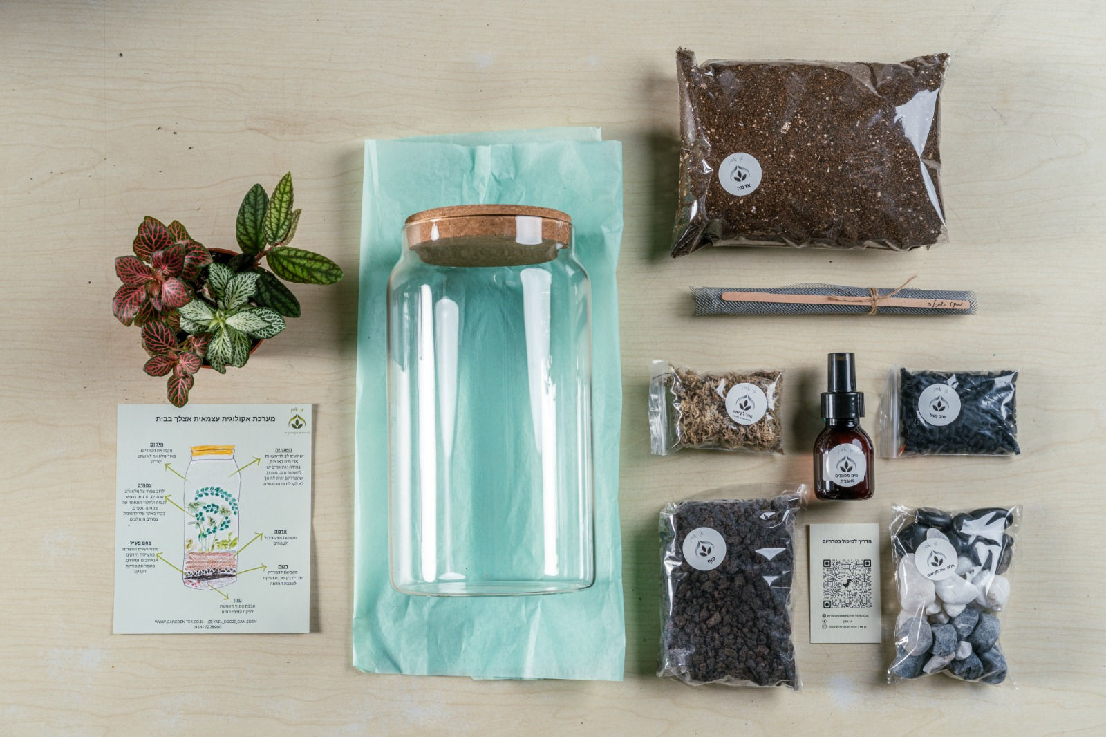 ערכת DIY טרריום דקל 3 ליטר