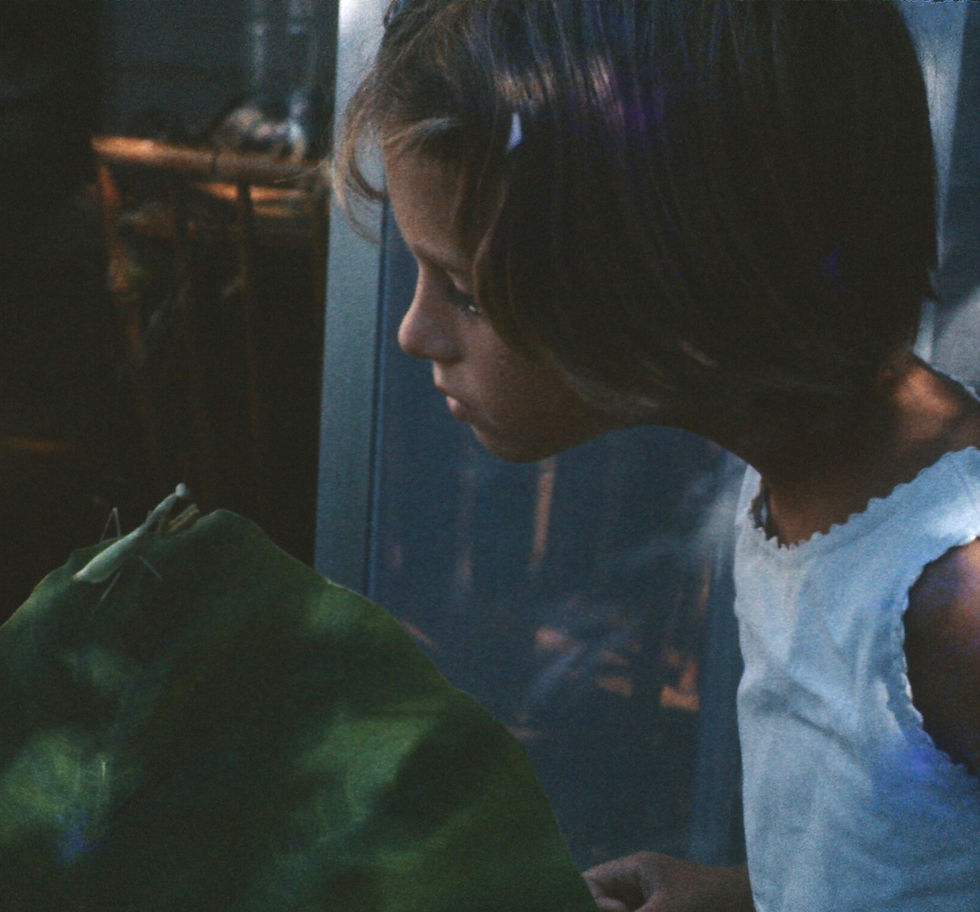 Curious Kid with Praying Mantis Photo by Geoffrey Clark