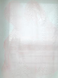 《夢裡的你真好》(局部)
“Coincidence”(Close up)
水墨設色絹本
Chinese ink on silk
一組三件
A set of three
各60x70 厘米
60x70 cm each
2019