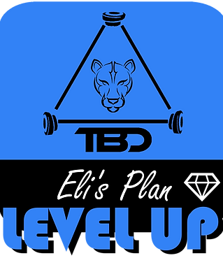 Elis plan Level Up transparent.png