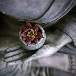 Meditation, Reiki and Crystal Healing for the Heart Chakra