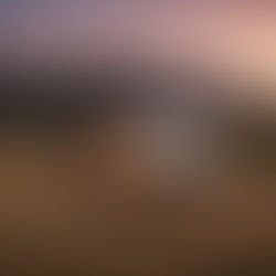 The Benefits of Transportable Homes in New Zealand