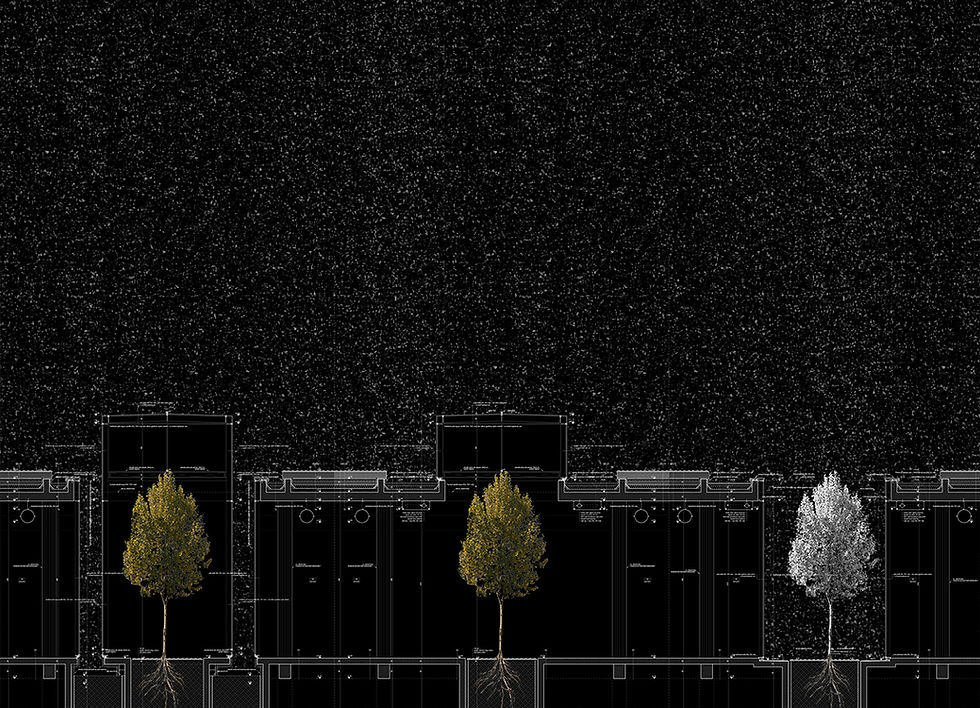 metu 3 system sections-animation-2-genişletilmiş.jpg