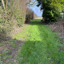 Finding land