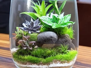 How to Create Your Own Terrarium: A Step-by-Step Guide