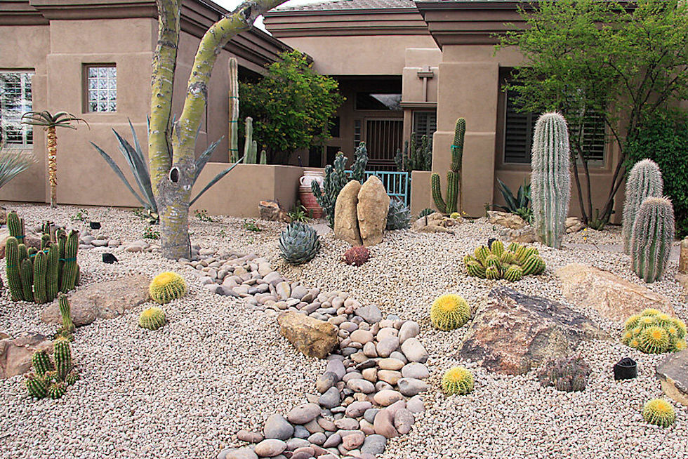 Cacti gardens save water. www.azgreenhouseproject.com