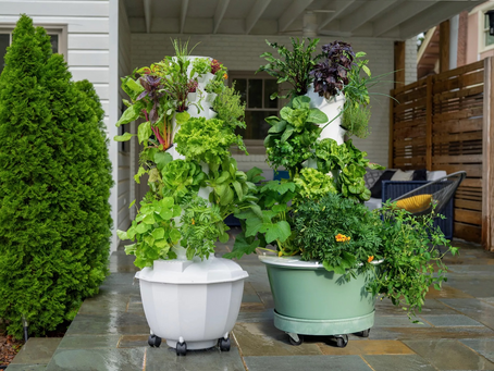 Green Living Redefined: Create a Sustainable Paradise with Innovative Aeroponic Tower Gardens