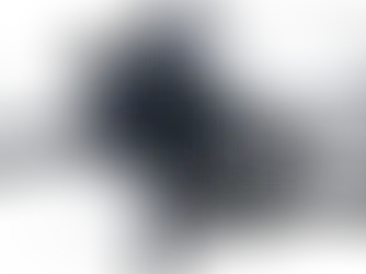 Mavic 3 Enterprise E and T (Thermal)