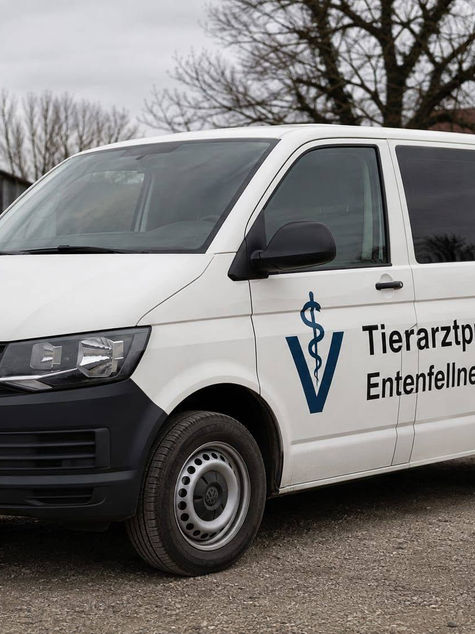 TRANSPARENZ – MIT EINER WOCHE ANLAUFZEIT? 🤔