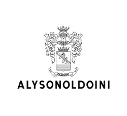 alysonoldoini-logo-24-06-2017-12-55-02-25-06-2017-21-25-35